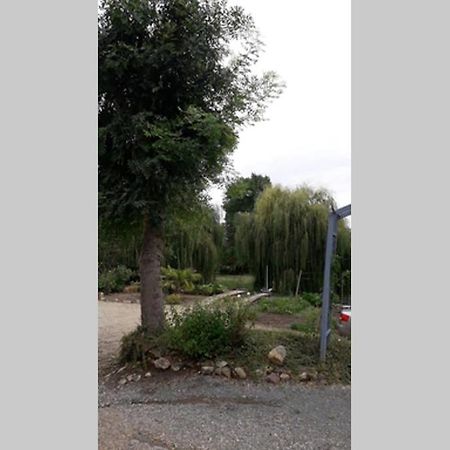Entre Vignes Et Loire Apartment Blaison-Saint-Sulpice Екстериор снимка