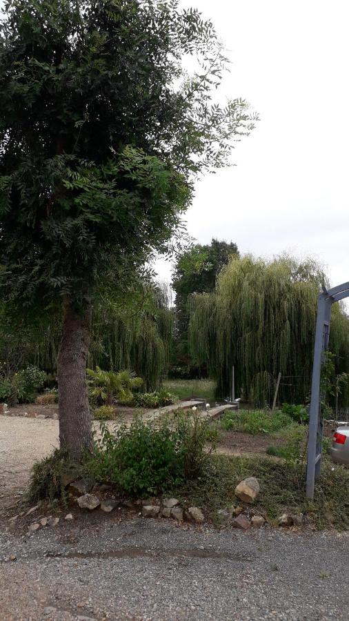 Entre Vignes Et Loire Apartment Blaison-Saint-Sulpice Екстериор снимка